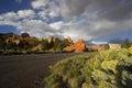 Dixie National Forest Royalty Free Stock Photo