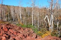 Dixie National Forest Lava Field Royalty Free Stock Photo