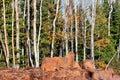 Dixie National Forest Lava Field Royalty Free Stock Photo