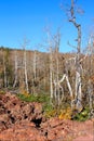 Dixie National Forest Lava Field Royalty Free Stock Photo