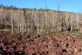 Dixie National Forest Lava Field Royalty Free Stock Photo