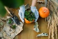 DIY autumn garden decoration. Royalty Free Stock Photo