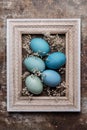 DIY dyed various shades of blue Easter eggs and vintage wooden picture frame mock up. Royalty Free Stock Photo