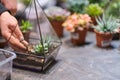 DIY florarium. Home gardening master class. Closeup of hands planting succulents in glass geometric shape vases