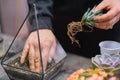 DIY florarium. Home gardening master class. Closeup of hands planting succulents in glass geometric shape vases