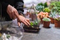 DIY florarium. Home gardening master class. Closeup of hands planting succulents in glass geometric shape vases