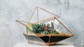 Diy florarium natural gift delivery succulent