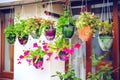 diy garden with container and hanging planters, decorative pots and plants Royalty Free Stock Photo