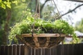 diy garden project with a hanging basket, planter, and greenery