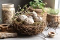 diy garden project using natural materials such as rocks, tree branches, and twine