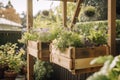 diy garden project with wooden planter boxes and hanging plants