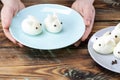 DIY instruction. Step by step guide. Making a funny rabbit from boiled eggs, decorating the Easter table, Easter decor and serving Royalty Free Stock Photo