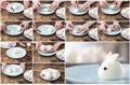 DIY instruction. Step by step guide. Making a funny rabbit from boiled eggs, decorating the Easter table, Easter decor and serving Royalty Free Stock Photo
