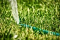 DIY lawn sprinkler working in a grass Royalty Free Stock Photo