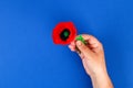Diy paper red poppy Anzac Day, Remembrance, Remember, Memorial day crepe paper on blue background Royalty Free Stock Photo