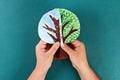 Diy paper tree four seasons summer, autumn, winter, spring. Tree 4 season. Childrens creativity