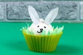 Diy rabbit from eggs for Easter Royalty Free Stock Photo