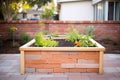 diy raised garden bed from bricks and wood Royalty Free Stock Photo
