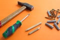 DIY tool set consisting of screws, dowels, screwdriver and hammer