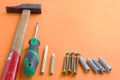 DIY tool set consisting of screws, dowels, screwdriver and hammer