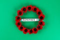 Diy wreath red poppy Anzac Day, Remembrance, Remember, Memorial day made of cardboard egg trays Royalty Free Stock Photo