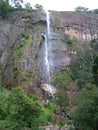 the Diyaluma Falls waterfall in Sri Lanka