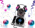 Dj disco dancing music club party mirror ball Royalty Free Stock Photo