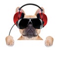 Dj disco dog Royalty Free Stock Photo