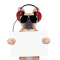 Dj disco dog Royalty Free Stock Photo