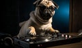 Dj dog playing music. Bulldog in a club scratching turntable. Generative AI Royalty Free Stock Photo