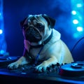 Dj dog playing music. Bulldog in a club scratching turntable. Generative AI Royalty Free Stock Photo
