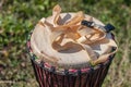 Djembe drum at green grass background. Closeup Royalty Free Stock Photo