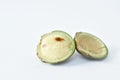 Djenkol bean or luk nieng fruit tropical plant on white background