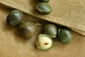 Djenkol bean or luk nieng fruit tropical plant on wooden board