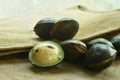 Djenkol bean or luk nieng fruit tropical plant on wooden board