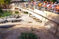 Djerba, Tunisia. July 24, 2016. A large crowd of tourists stands on the bridge and watches the process of feeding crocodiles on a