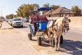 Djerba, Tunisia, 26 July 2016: A white horse harnessed to a cart stands on the roadway. Royalty Free Stock Photo