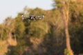 The DJI mavic pro dorne in flight