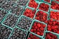 Diagonal rows of green cartons with fresh raspberries and blueberries