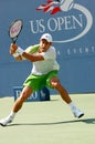 Djokovic Novak in QF of US Open 2008 (169) Royalty Free Stock Photo
