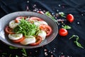 Dliciouse italian dish - tasty caprese salad with fresh ingredients Royalty Free Stock Photo