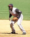 Dmitri Young, Cincinnati Reds