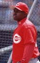 Dmitri Young