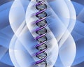 DNA Royalty Free Stock Photo