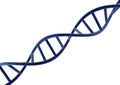 DNA