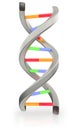 DNA