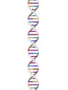 Dna Royalty Free Stock Photo