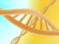 Dna Royalty Free Stock Photo