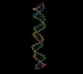 DNA