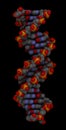 DNA